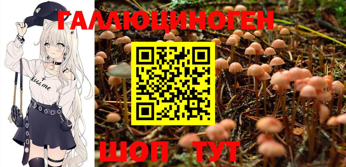 Псилоцибиновые грибы мухоморы  Вход с VPN  Галлюциногенные грибы Psilocybine cubensis  Нефтекамск 